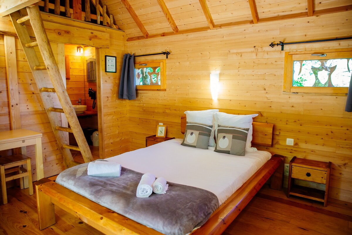 Cabane dans les arbres Palombière