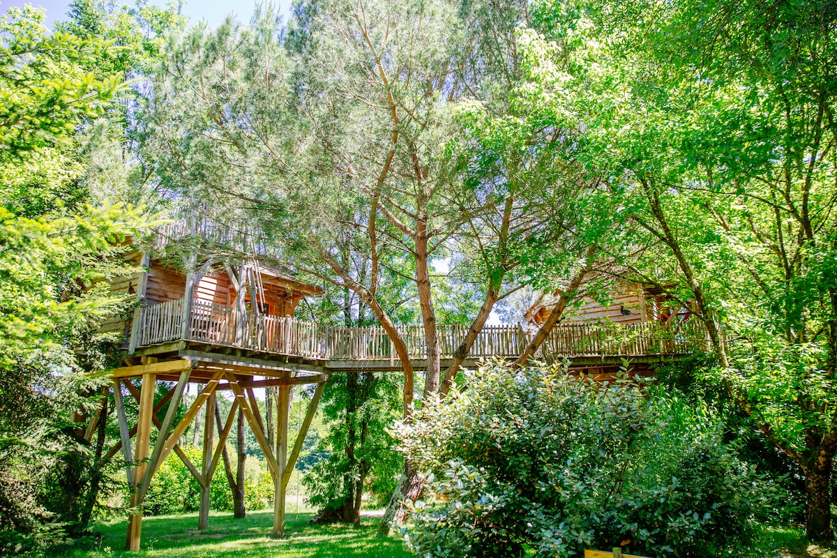 Cabane dans les arbres Palombière