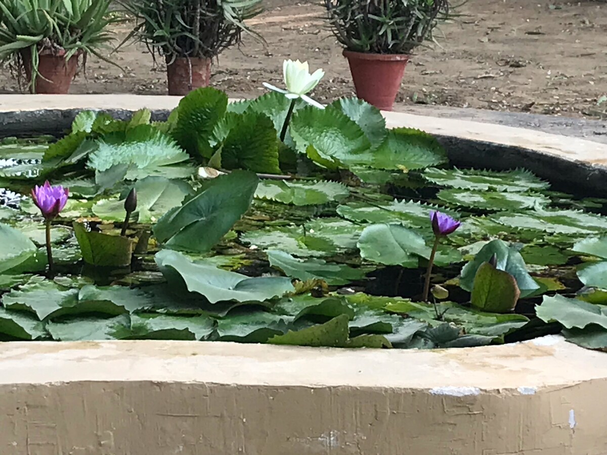 Lotus Farm - Suite  in lush outdoors in Gurgaon