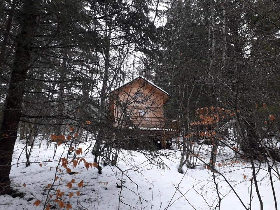 Chalet refuge en forêt