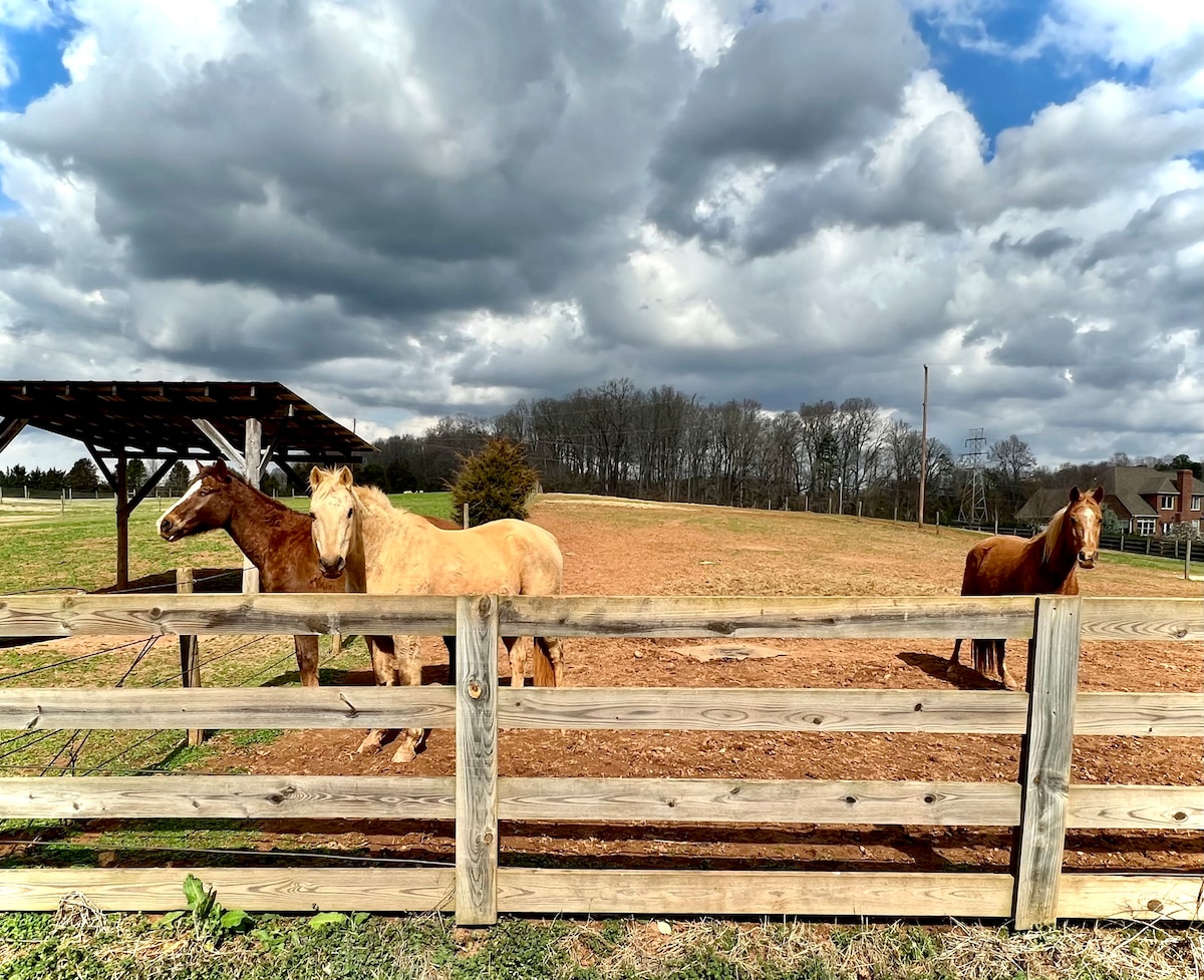 Horse Farm, Cozy 2bdrm Suite, Creek Side Views