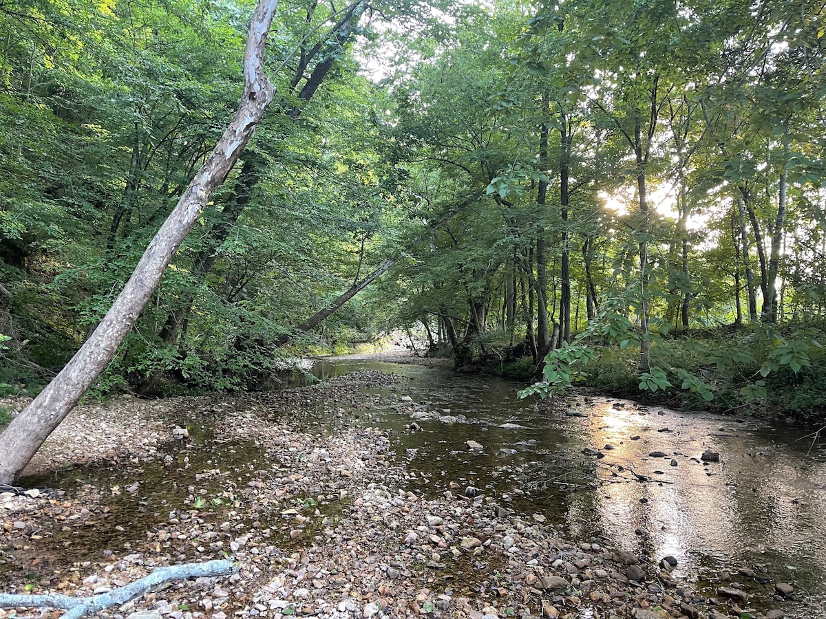 Cute Cabin on 44 Wooded Acres, Creek