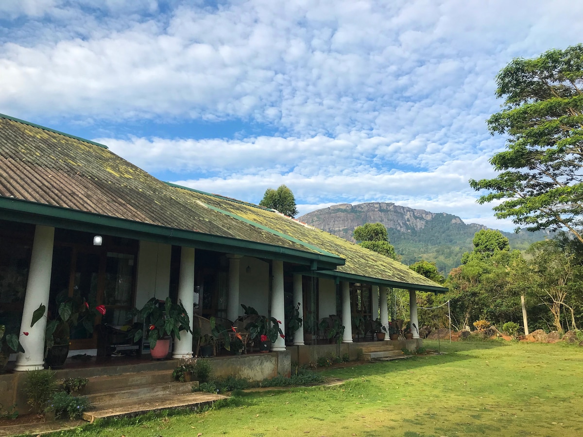 Mountain villa with pool near Kandy