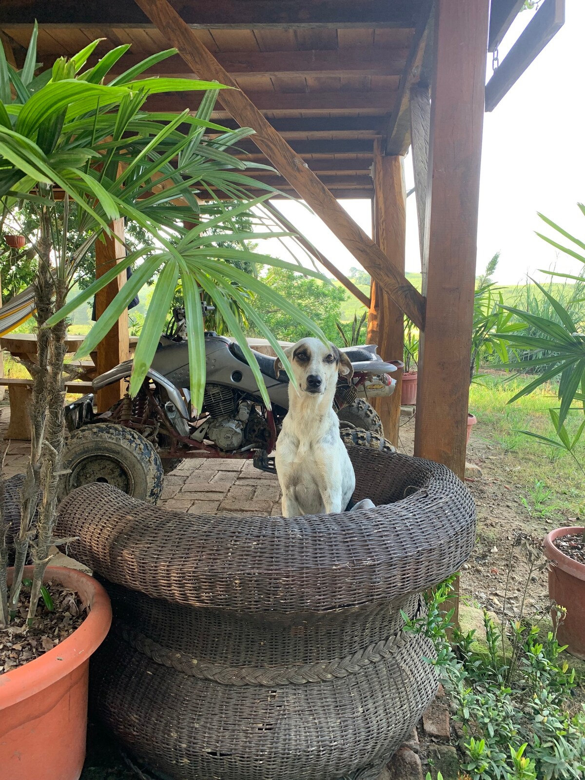 Estadía en Chone dentro de LagoColorado