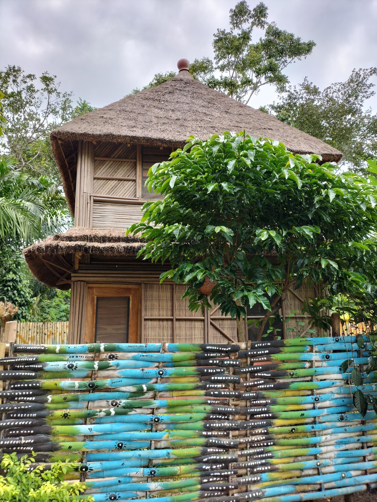 Cabane "Acajou"