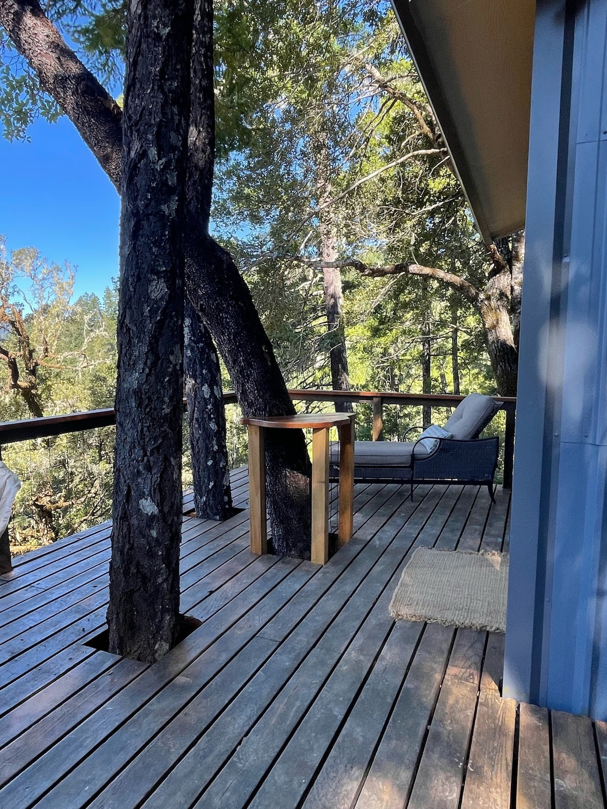 The Lost Butte Treehouse Sanctuary