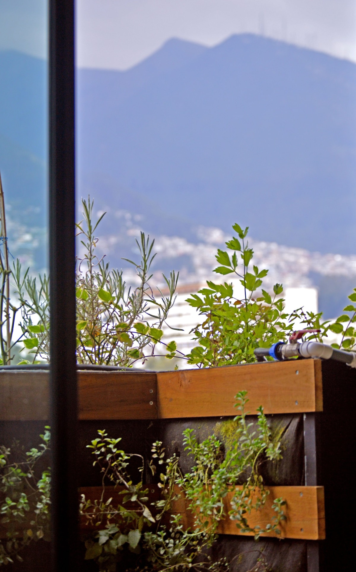 带阳台的公寓，可俯瞰La Mariscal的Pichincha。
