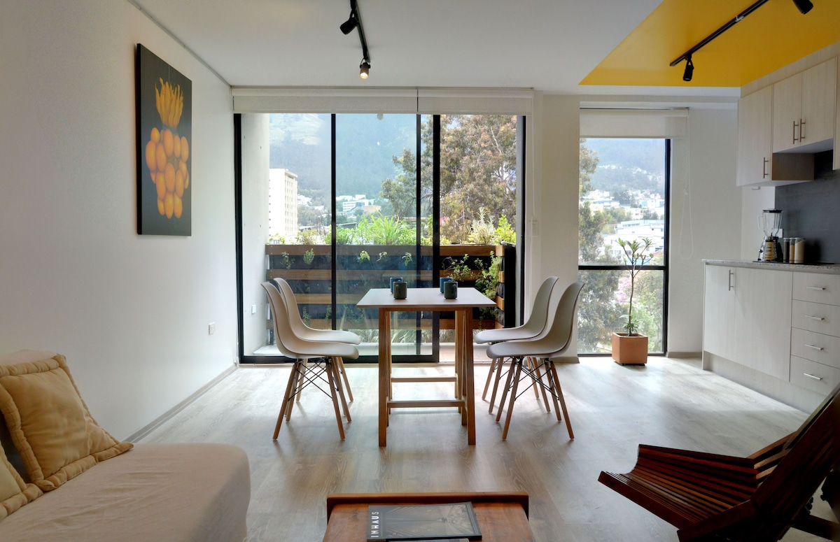 带阳台的公寓，可俯瞰La Mariscal的Pichincha。