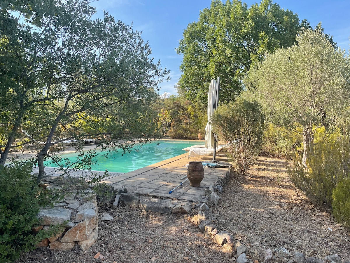 Maison en pierres avec piscine et oliviers…