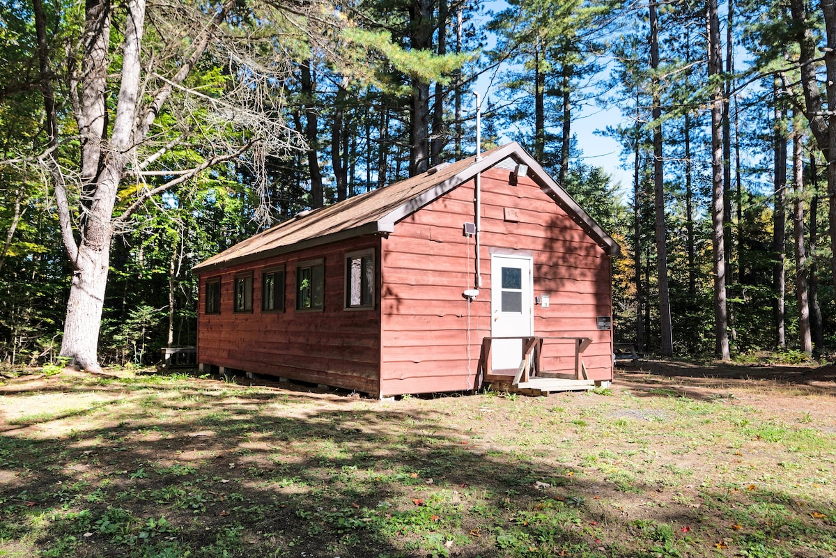 Snug cabin in the woods!