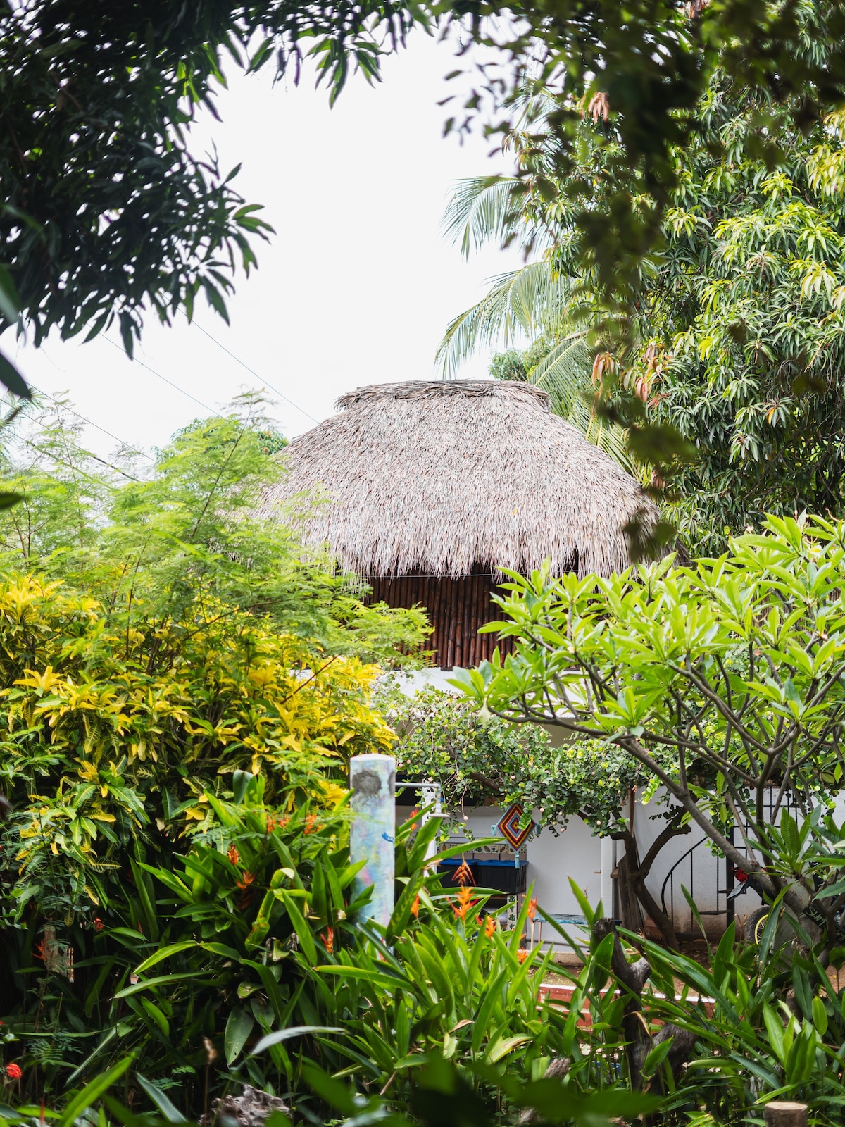 Bamboo Rustic Treehouse Beautiful Gardens La Punta