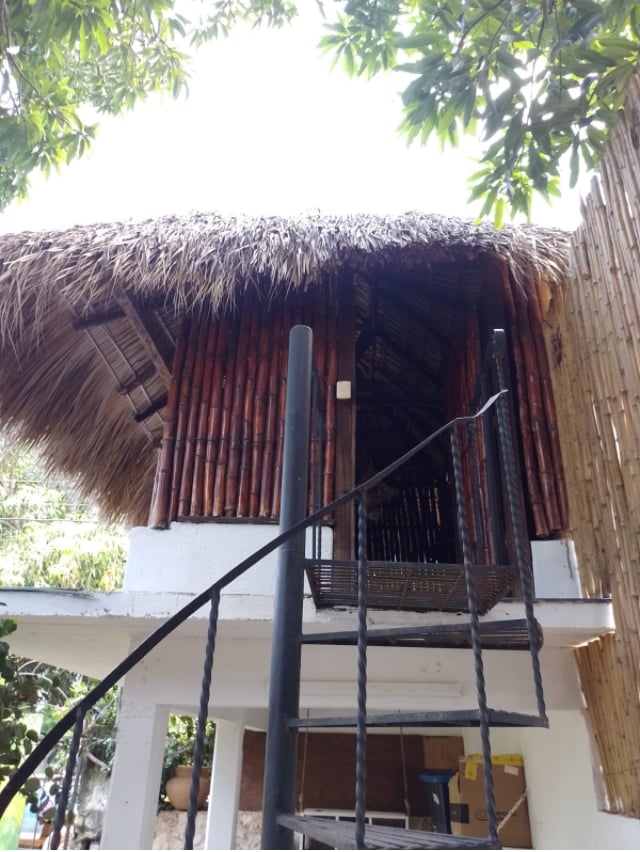 Bamboo Rustic Treehouse Beautiful Gardens La Punta