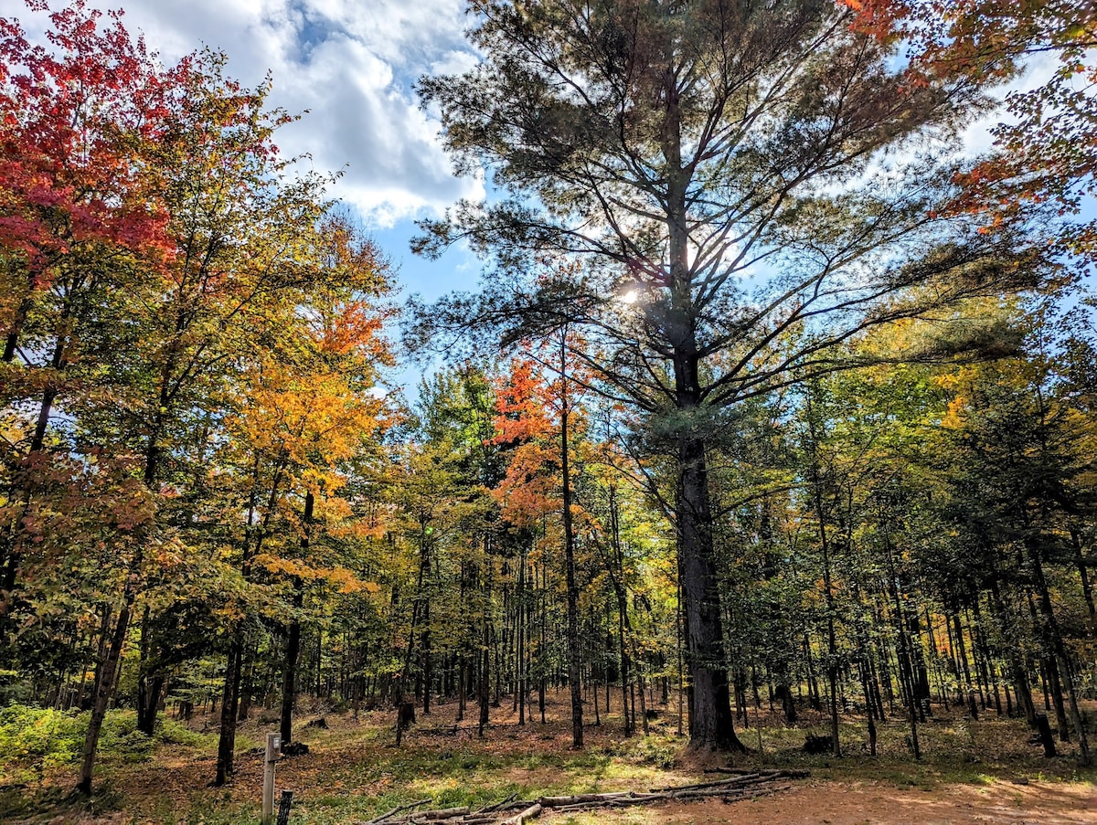 Le Boisé des Trois-Lacs: 4 Acres aux Abords du Lac