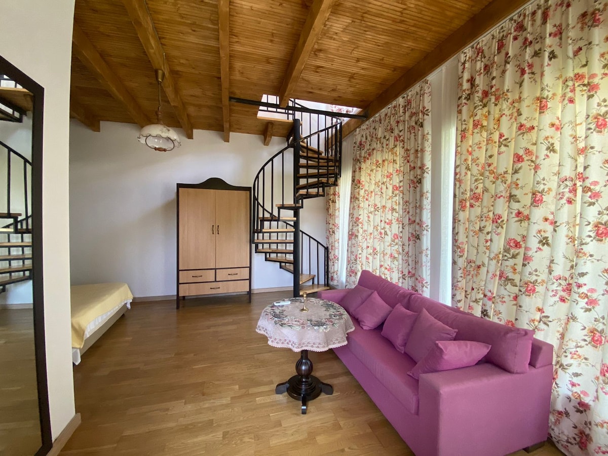 Isev Kvareli - Villa for 4 people with Pool 2