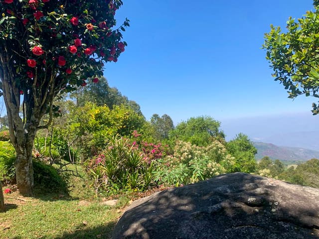 Bvumba Mountains的民宿