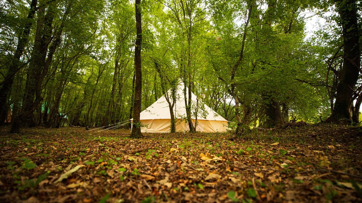 CAMP ĆUK Yellow Owl Tent 2-beds in magic wood