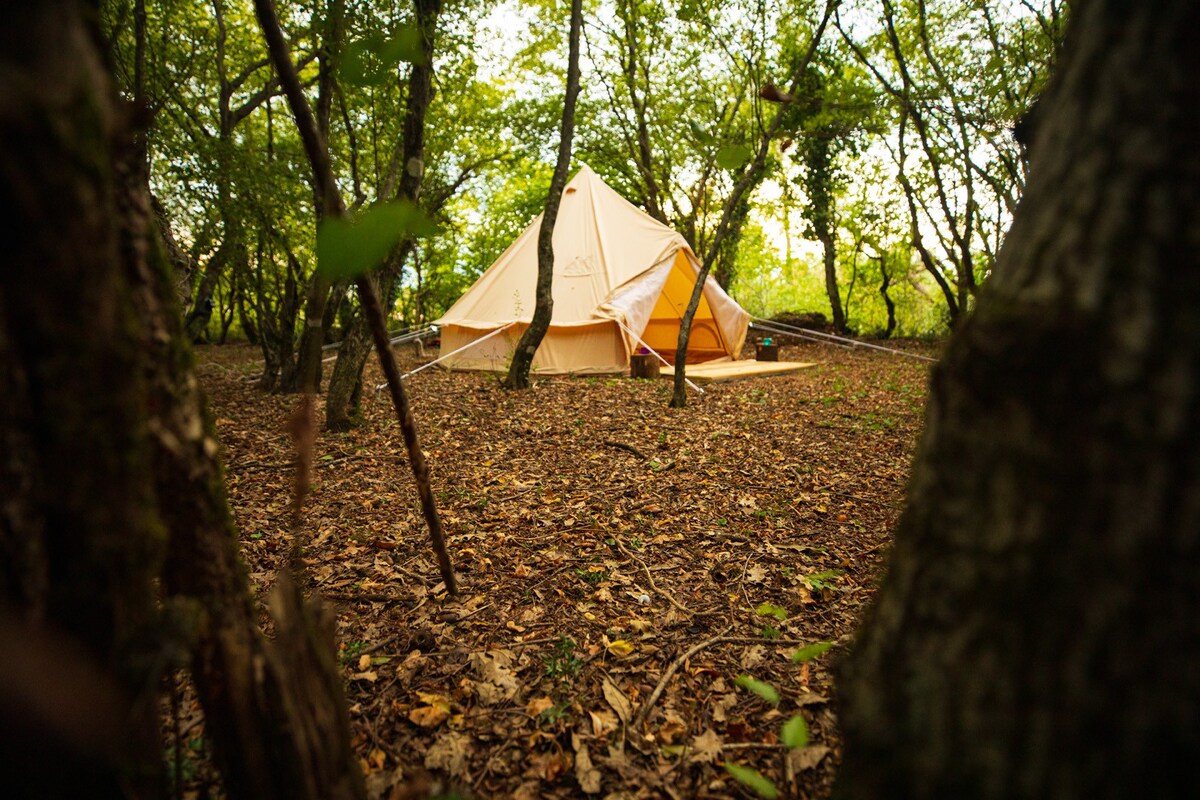 CAMP ĆUK Yellow Owl Tent 2-beds in magic wood