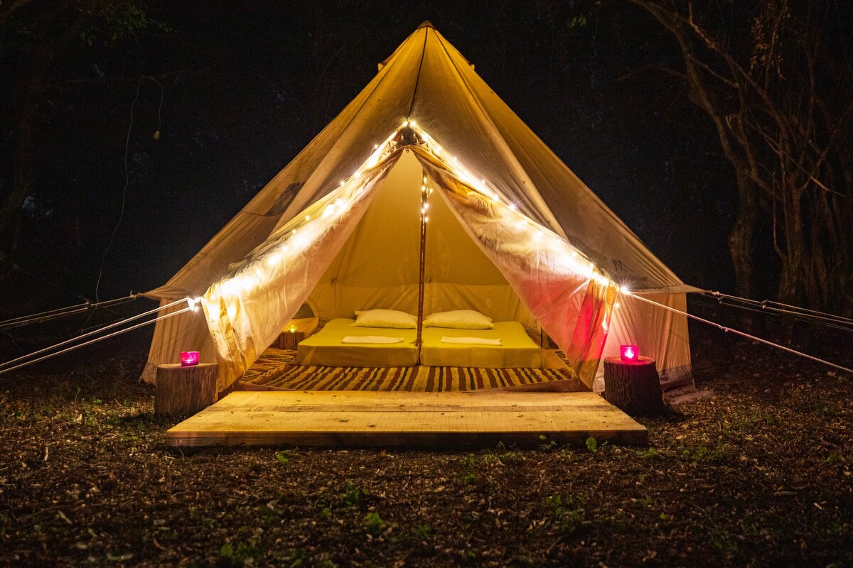 CAMP ĆUK Yellow Owl Tent 2-beds in magic wood