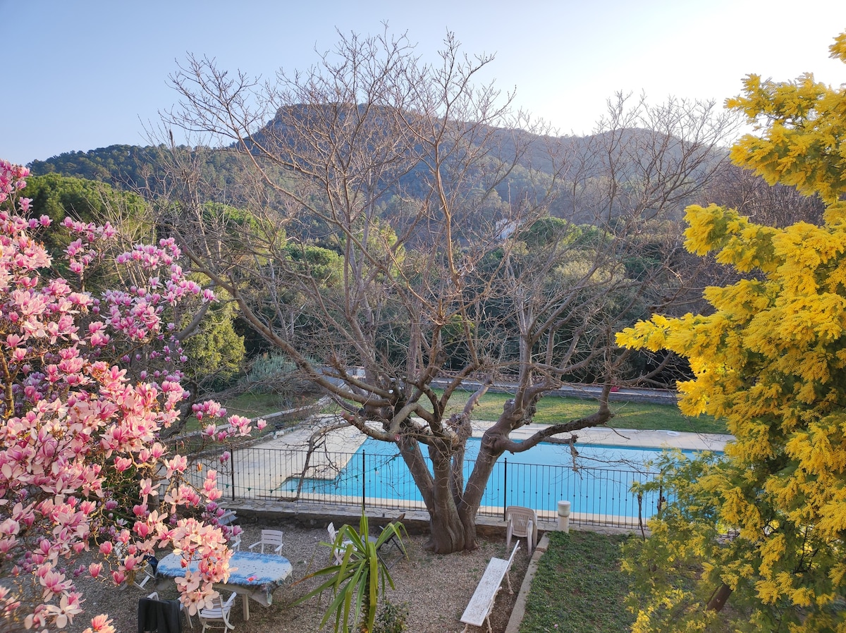 Mas cévenol avec piscine et jardin à Anduze