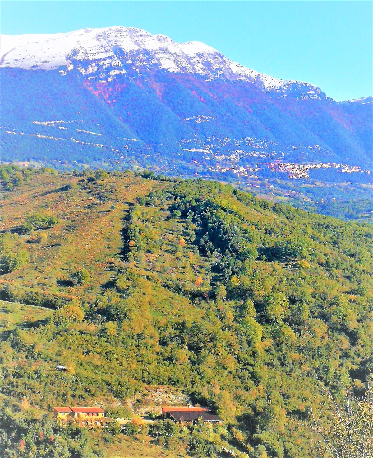 Cilento Organic Farm: Room 4 "Rosa Carmusina"