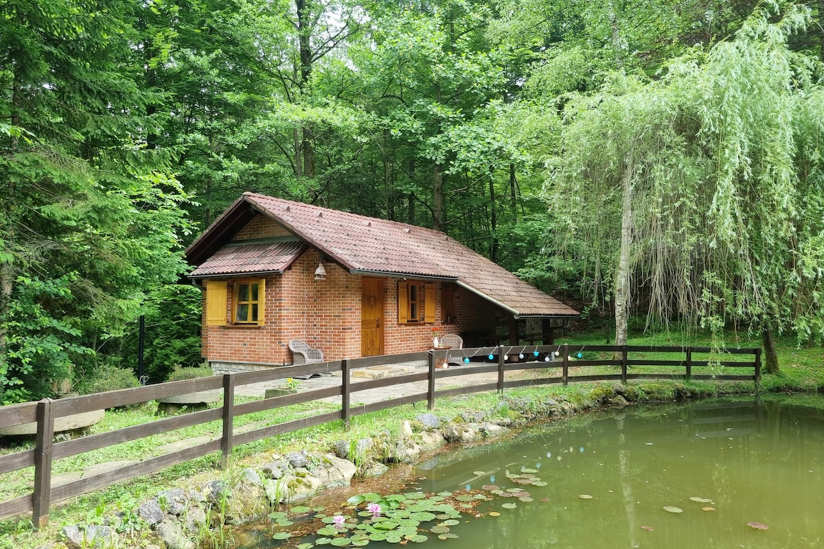 带私人池塘的森林小屋