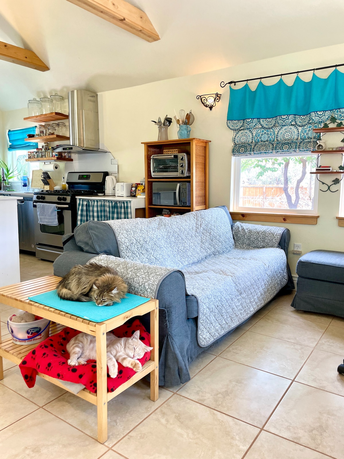 Kitty Cottage: Quiet Oasis, Fast Wi-fi, Peaceful