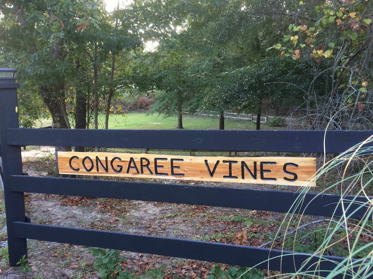 Congaree Vines - Vineyard Cottage “Barn Bungalow”