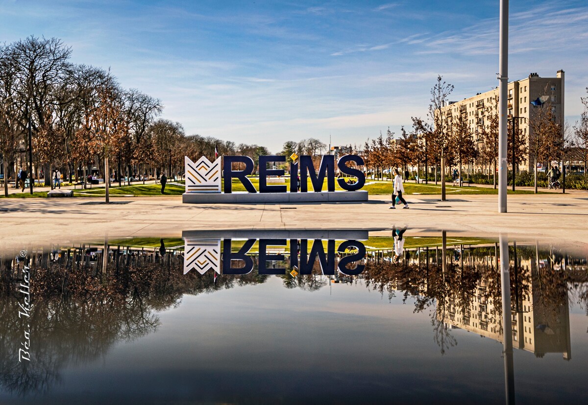 Centre de Reims翻新双层公寓