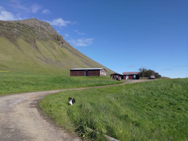 Vesturbyggð的民宿