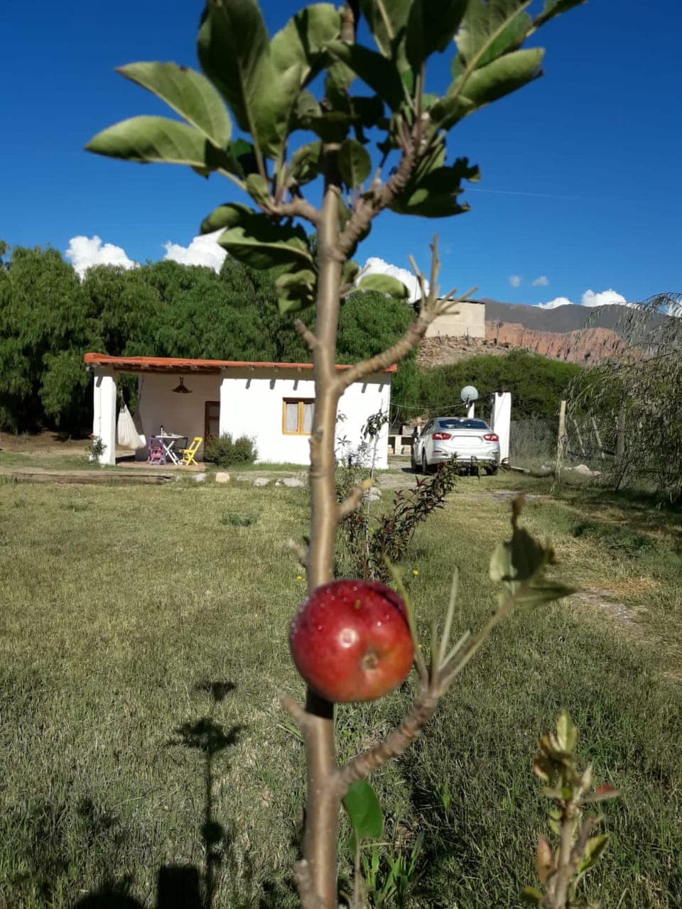 El Sueñero Tilcara