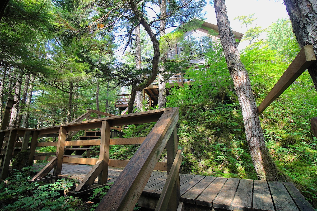 Elfin Cove 's Hilltop Tree House