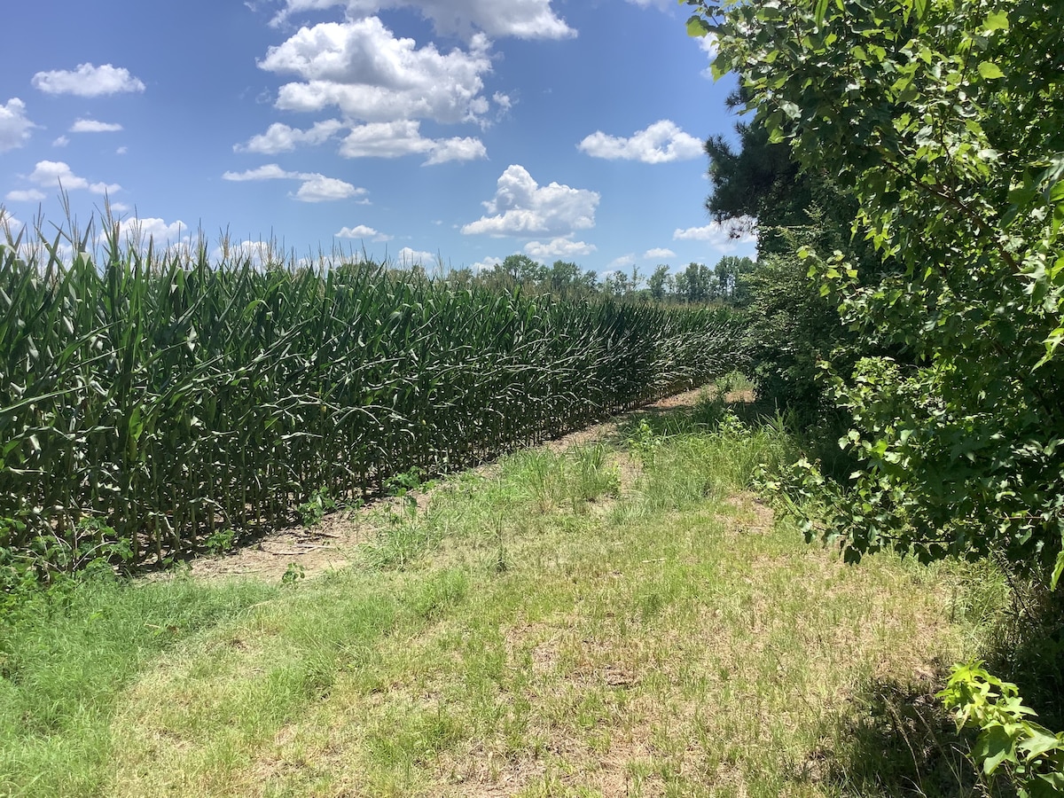 Primitive camping available alongside a farm field