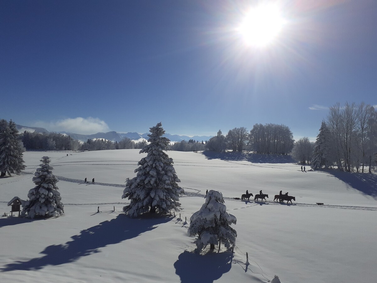 La Cabane aux Etoiles  (SPA-Vue-Calme)