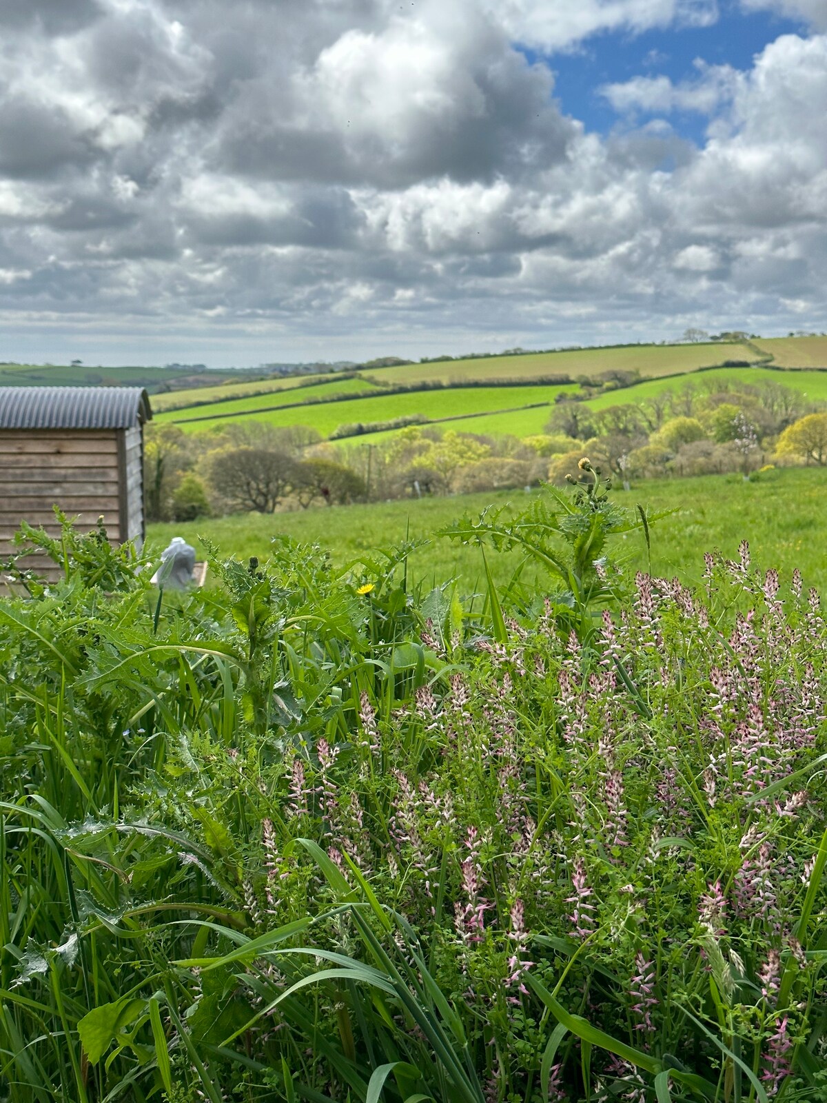 Countryside retreat with beautiful view near Truro