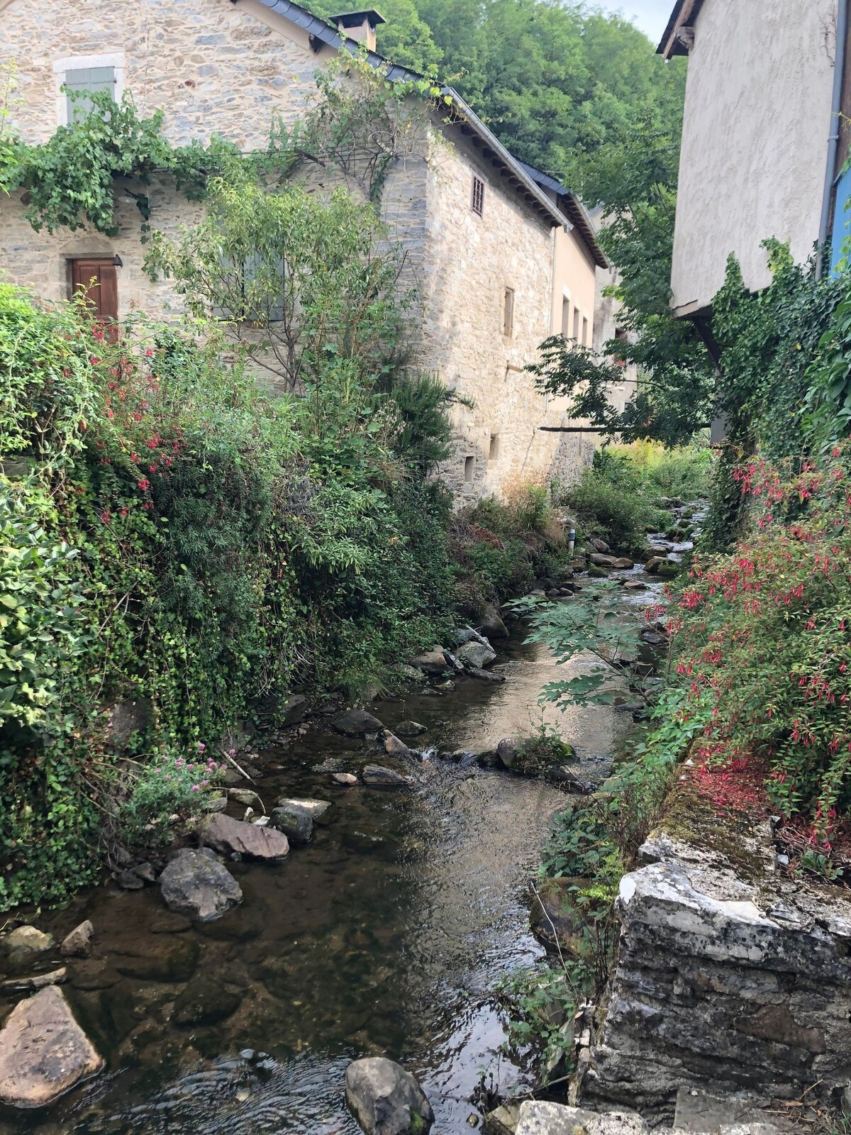 Chambre avec Jacuzzi à Cambounès