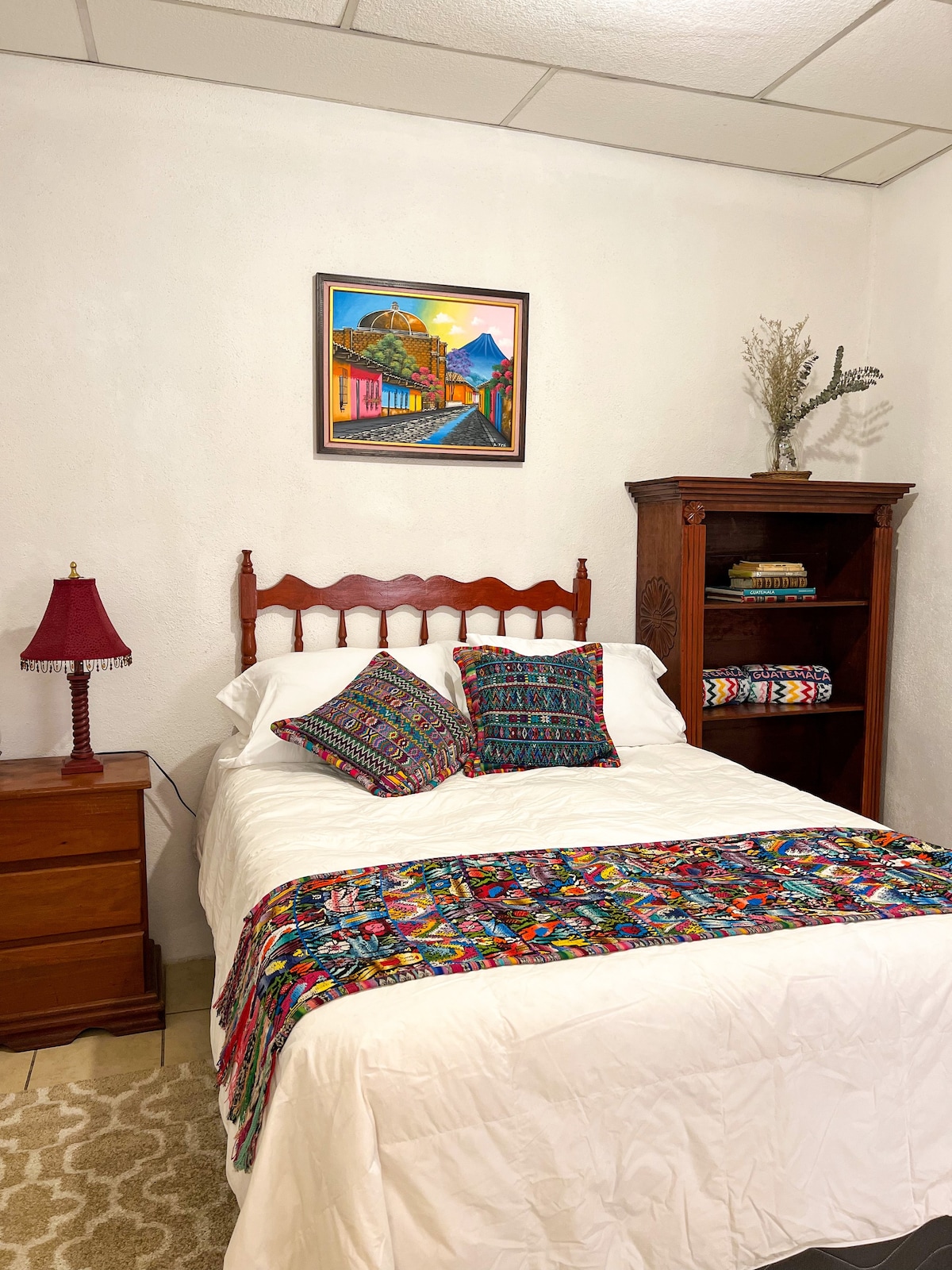 安提瓜市中心空调的舒适房屋