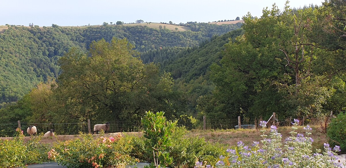 Gîte familial entre Rodez et Albi