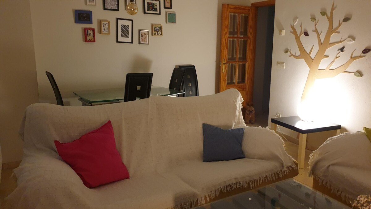 位于阿尔巴塞特（ Albacete ）市中心的漂亮公寓