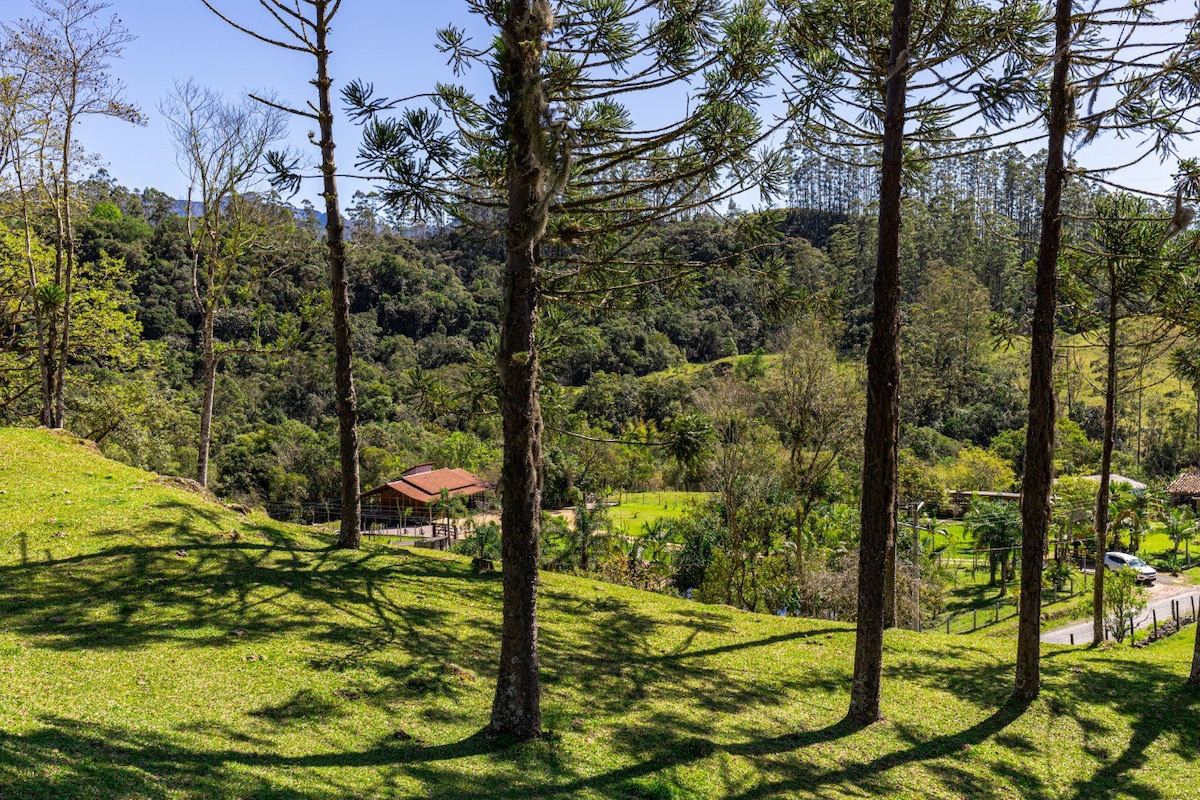 Serra do Rio do Rastro附近的组合房