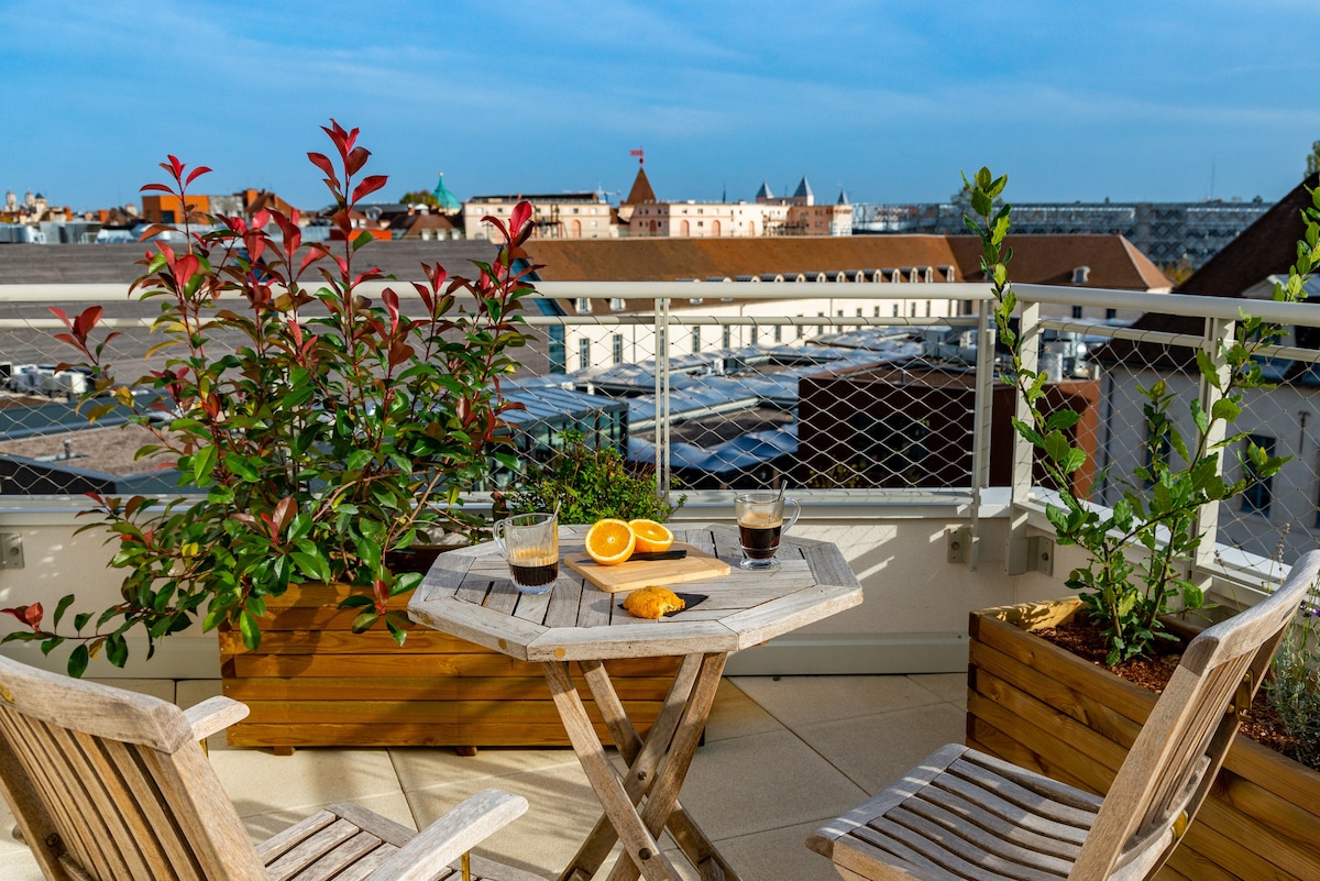 100平方米， Grande Terrasse ， Coeur de Cité