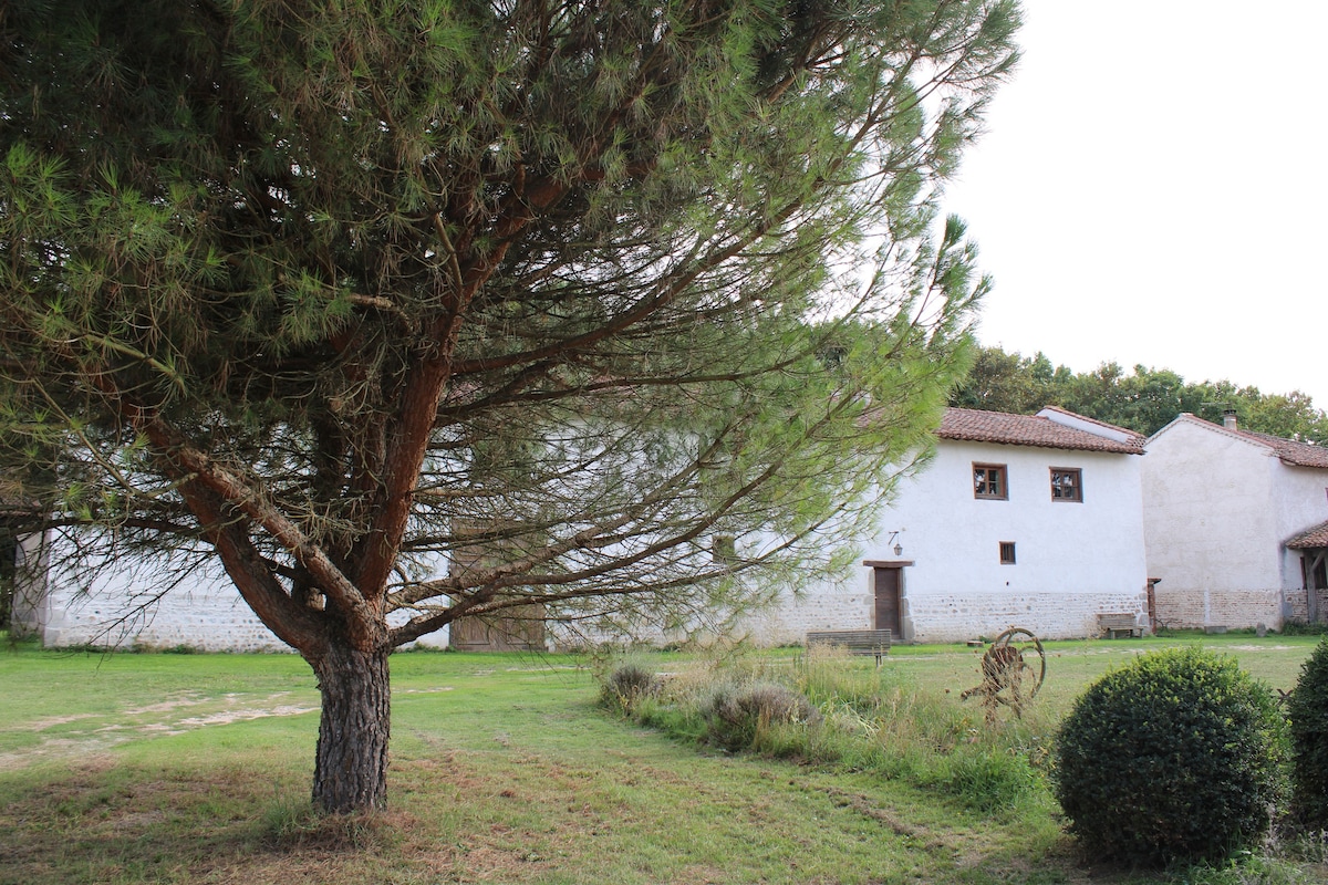 Appartement cosy dans corps de ferme du XVIIIe