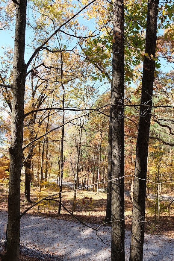 Cuyahoga: 2 Person A -Frame Cabin