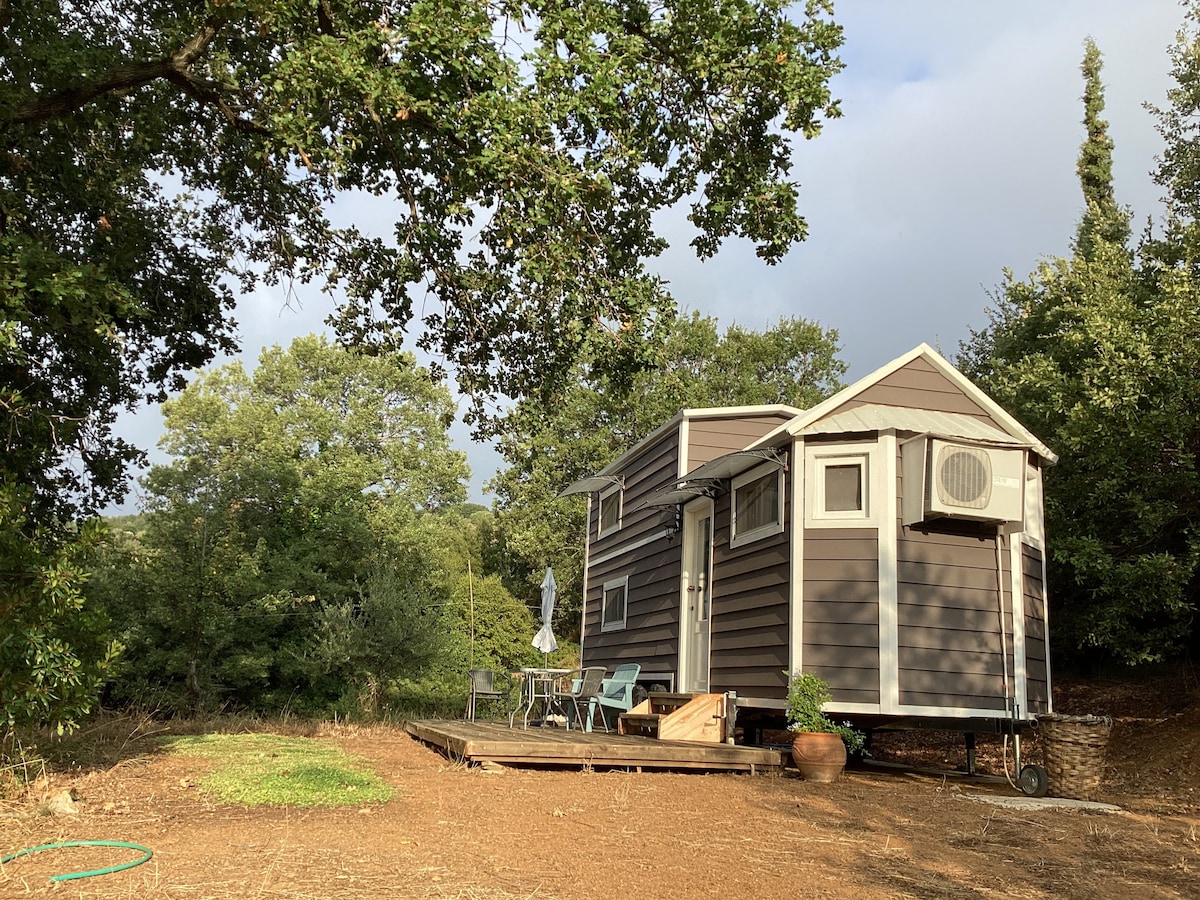 Tiny house in the nature