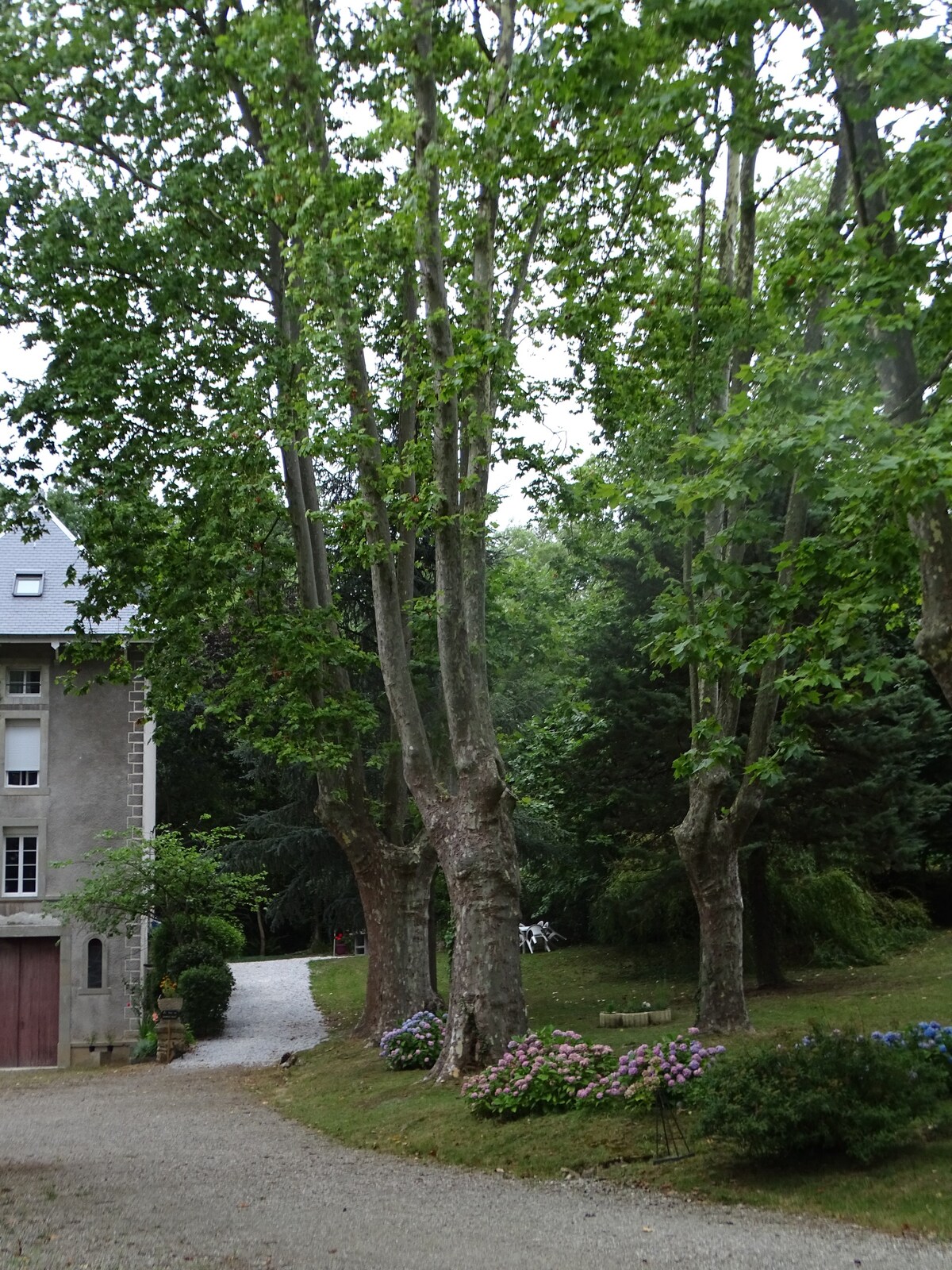 Gîte 4 /6  personnes  La TOUR du GRAND DUC