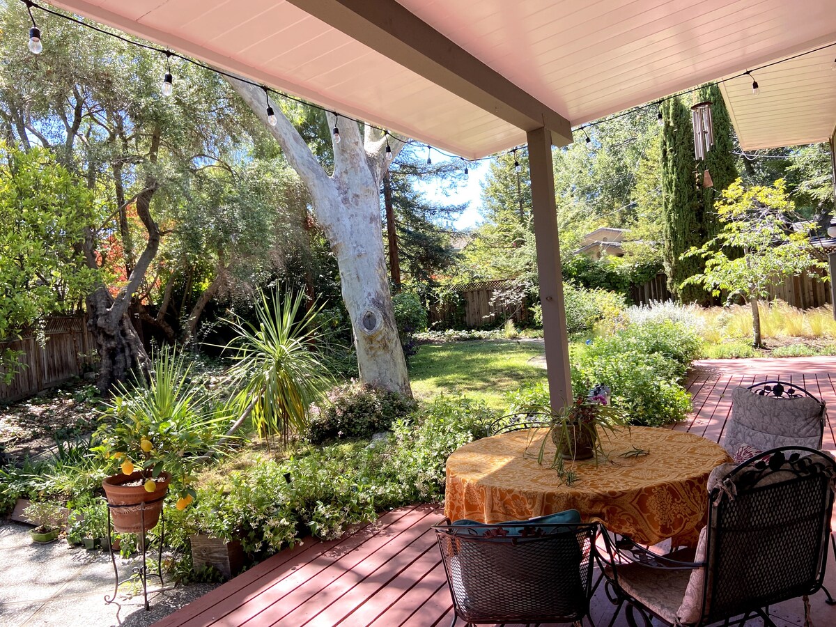 位于硅谷中心的美丽房源和院子