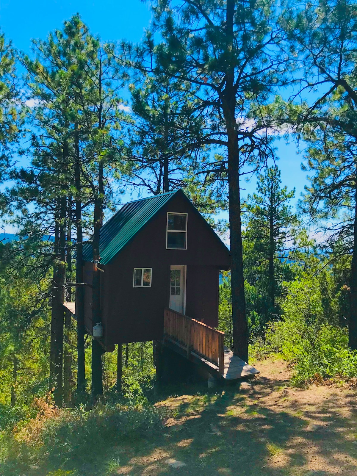 Mountain High Tree House