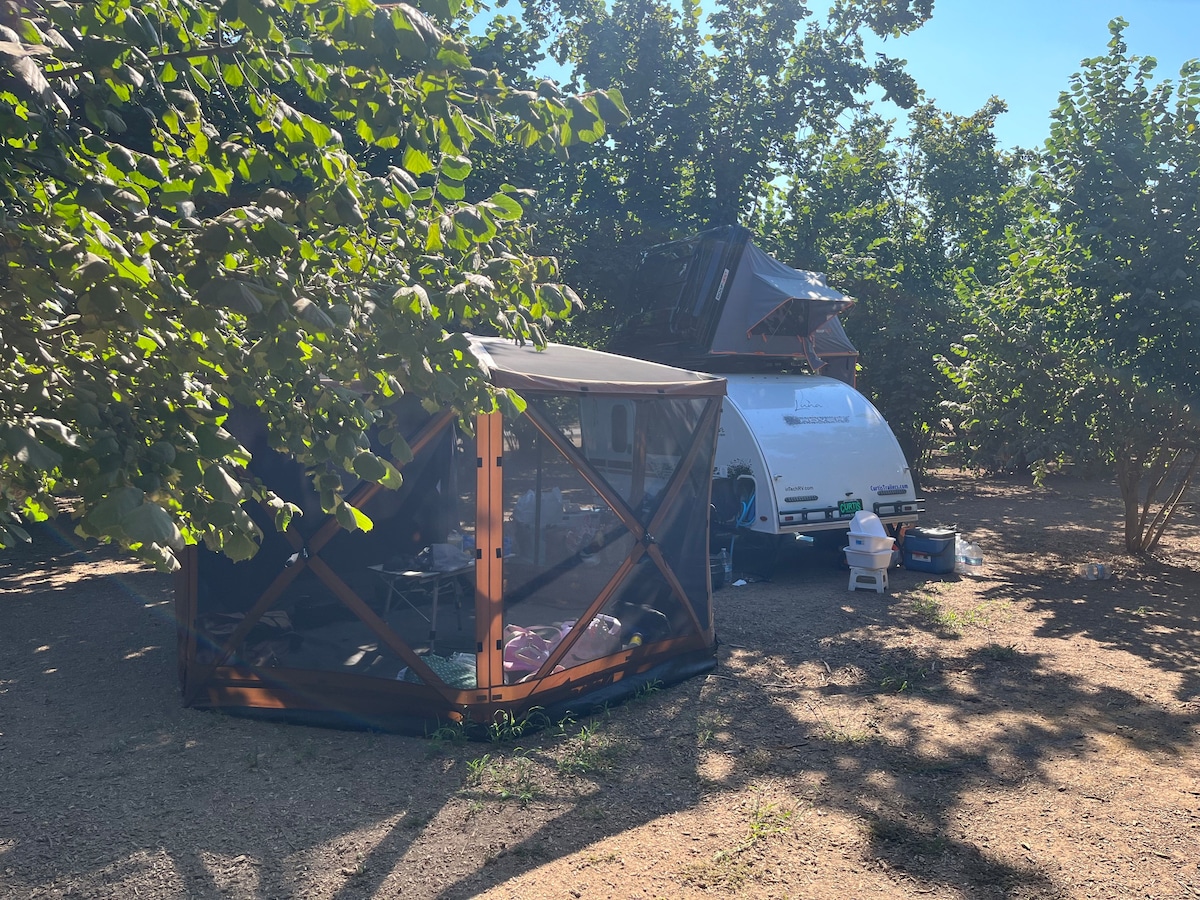 Tranquility Orchards and Wine Tours: Campsite 1