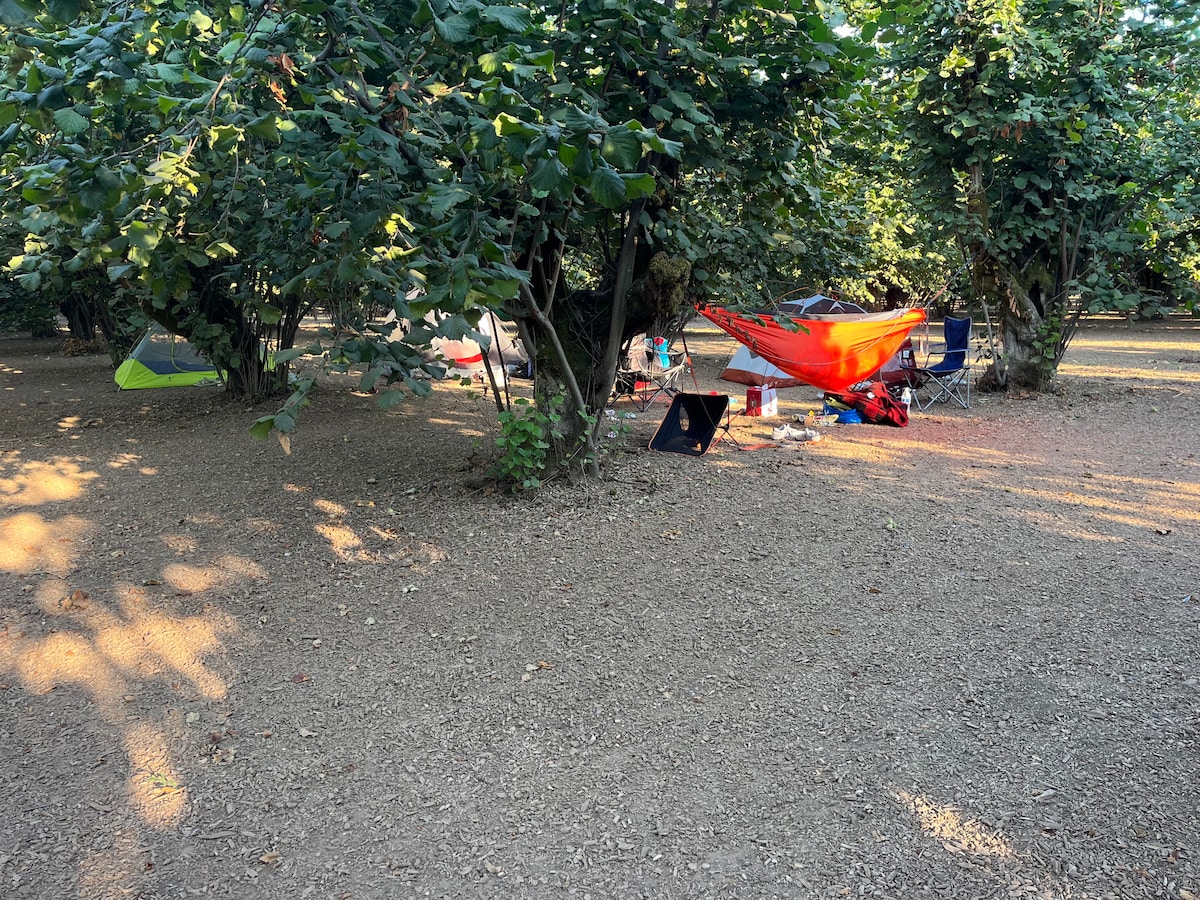 Tranquility Orchards and Wine Tours: Campsite 8