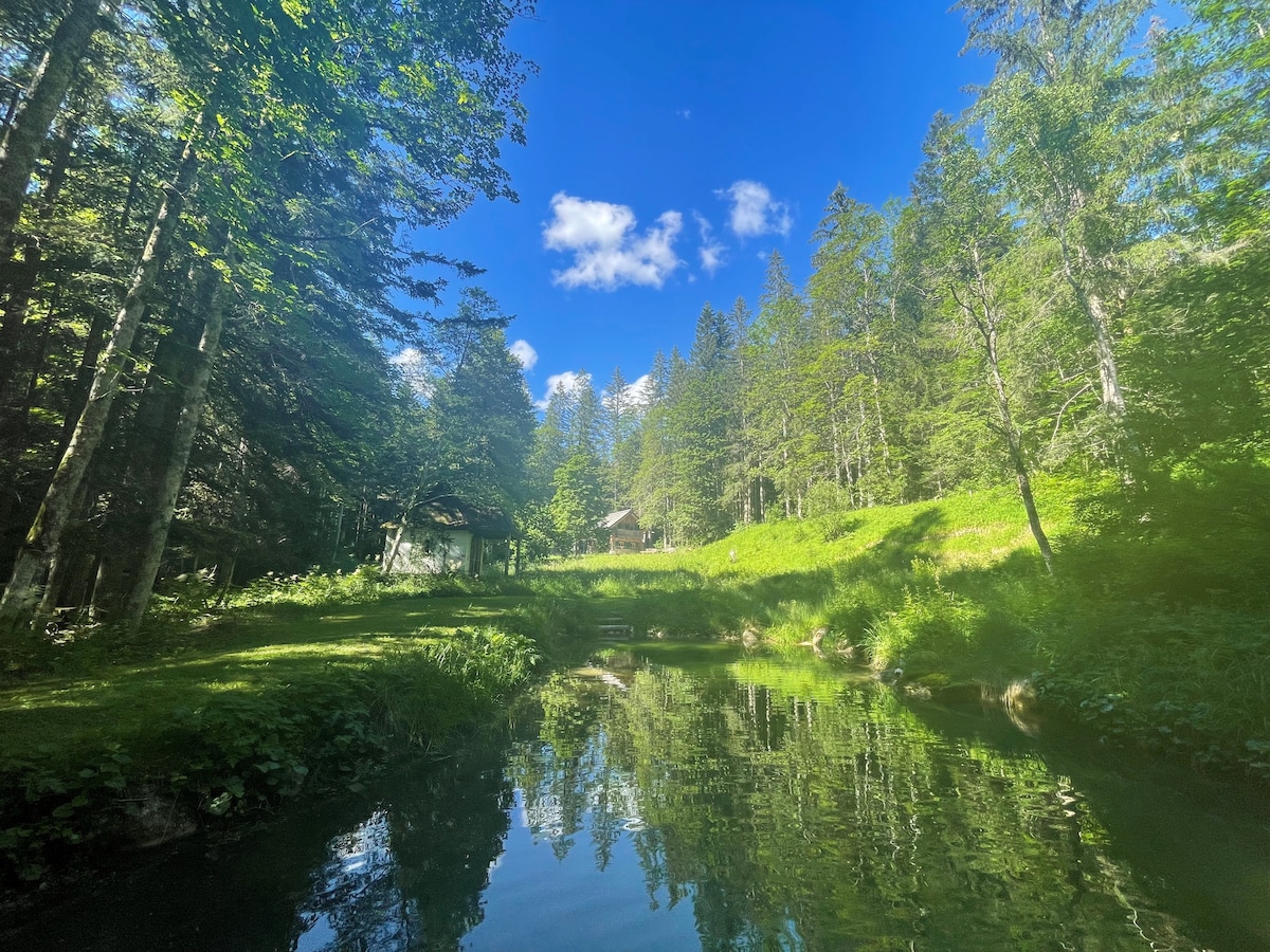 Traumhafte Hütte im Herzen des Salzkammerguts!