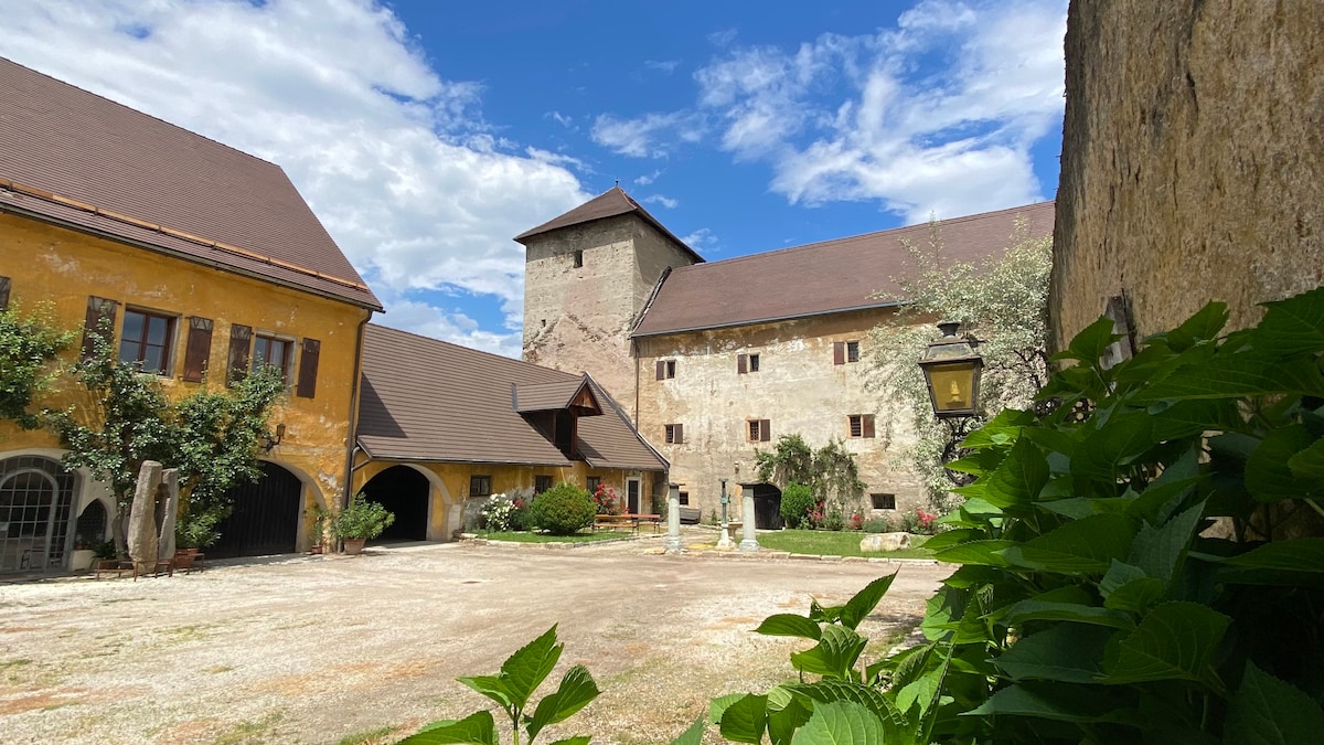 St. Veit Castle ，迷人的住宅